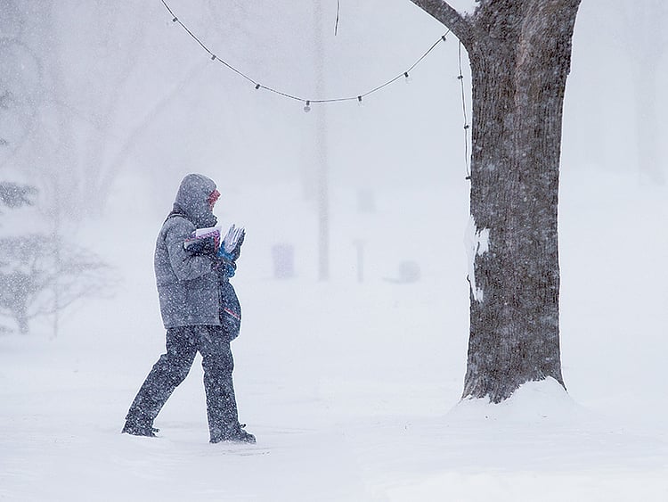 1.1438707-4009919130