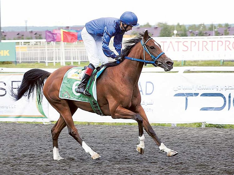 1.1598405-3596982675