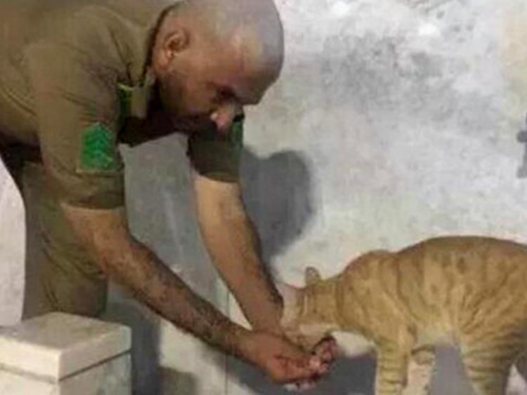 1.1598705-1751986511