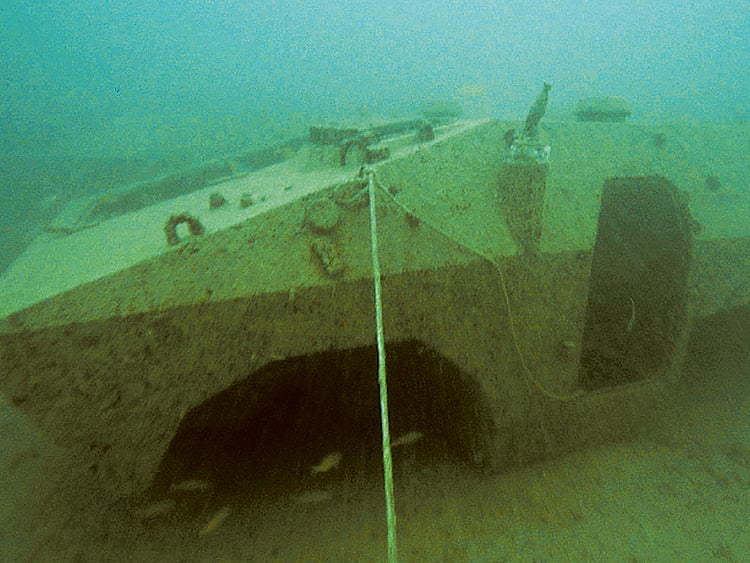 1.1599270-772124657