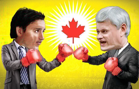 1.1601563-1736987475