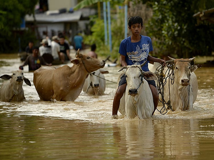 1.1603334-1032086875