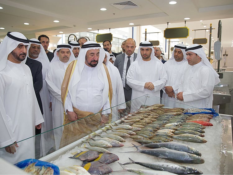 1.1604599-4195182779