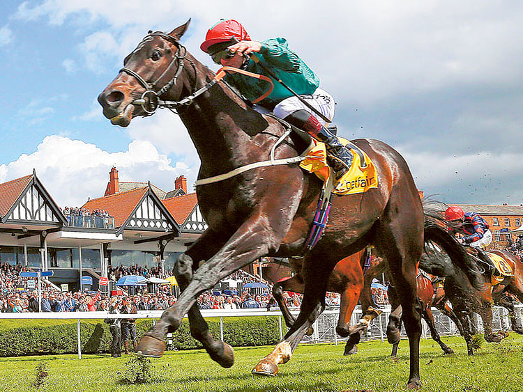 1.1606003-2798303468