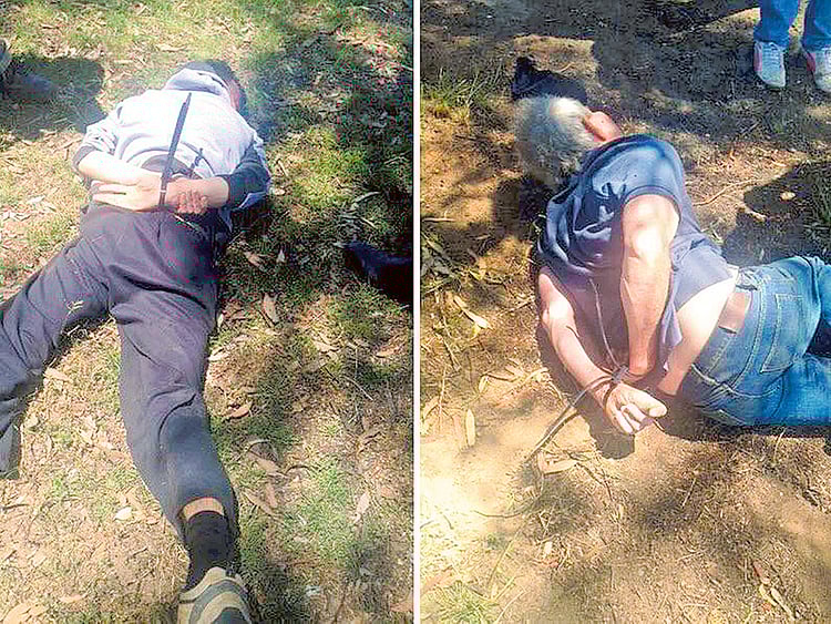 1.1608565-1381150626