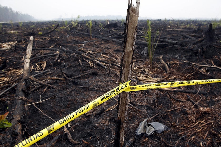 1.1610002-2110636865