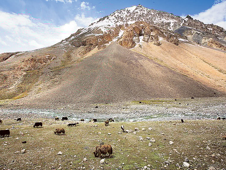 1.1609854-3670765252