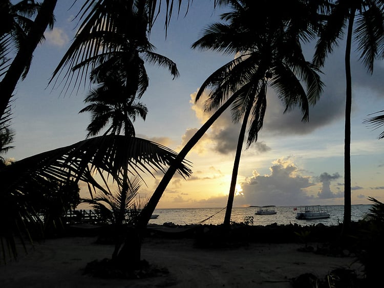 1.1609950-2888563489