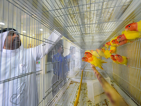 Ahmed Ramzan/Gulf News