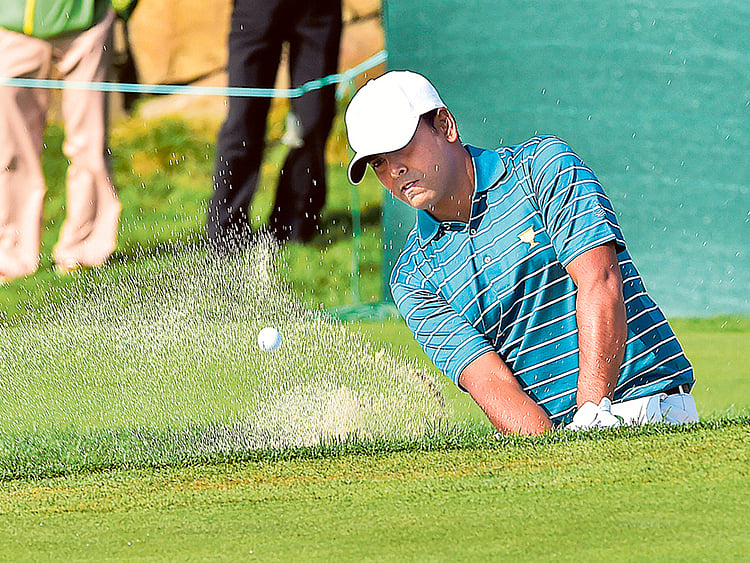 1.1595919-2021809074