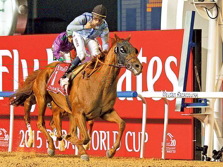 1.1597614-3767585686