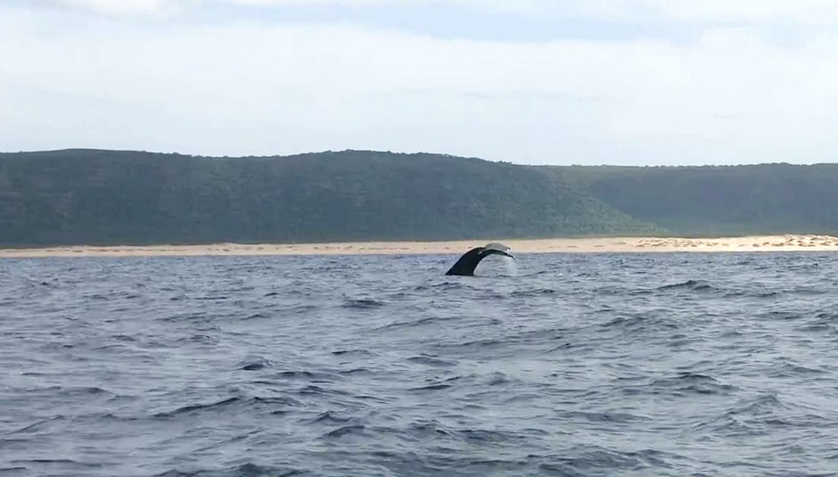 1.1597781-4032435647