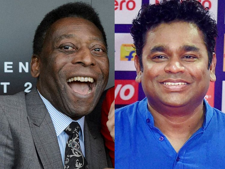 1.1597829-1717431183