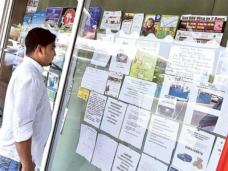 1.1598096-2626818120