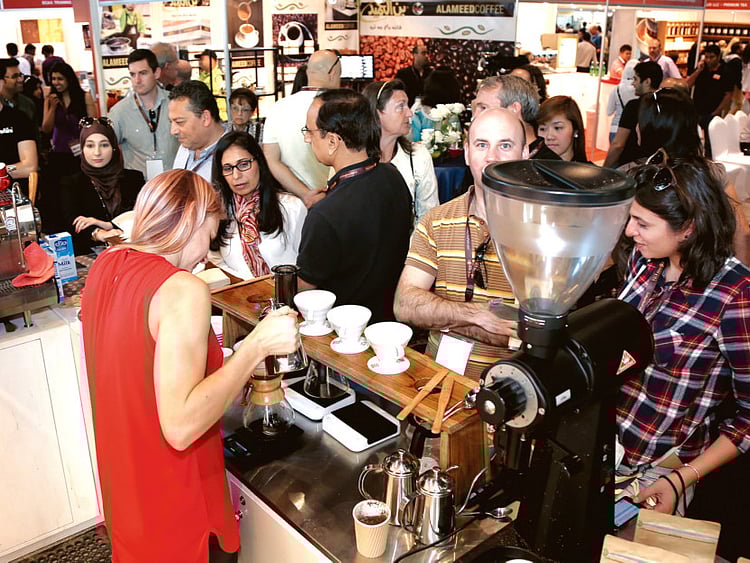 1.1617400-1719489554