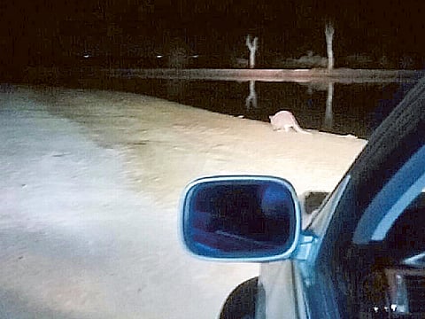 Courtesy: Balasubrananian