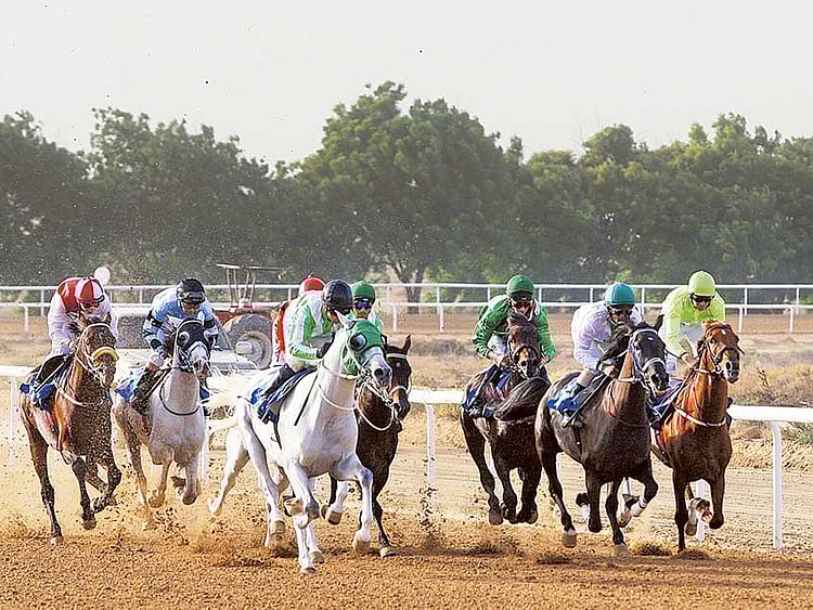 1.1619459-3930317714