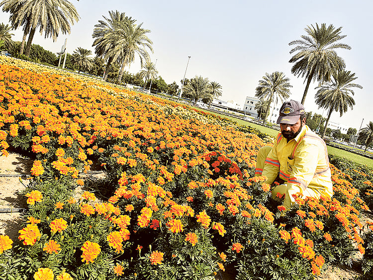 1.1620206-1288020322