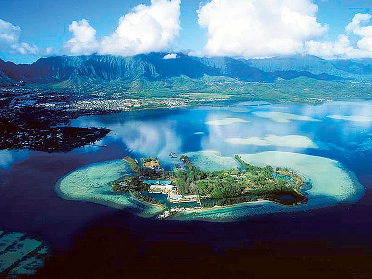 1.1622027-4110520646