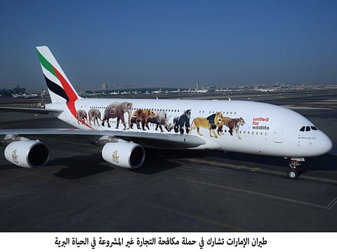 Emirates airline supports wildlife