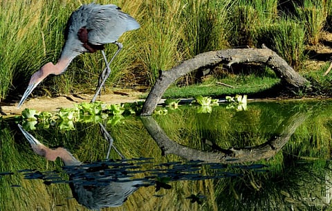 Atiq ur Rehman/Gulf news