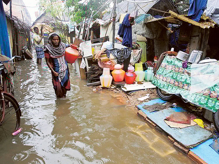 1.1625062-3074816353