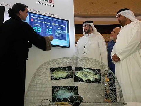 Derek Baldwin/Gulf News