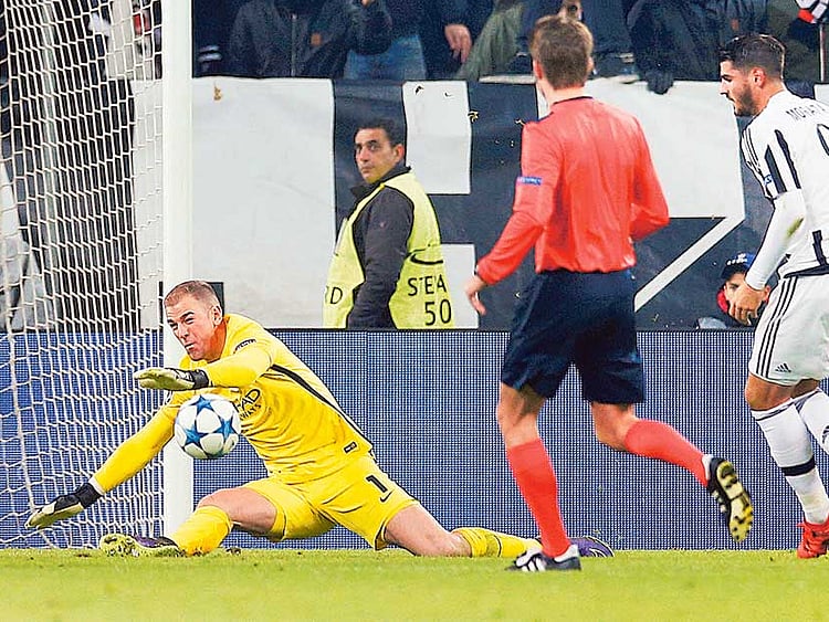 1.1627449-3202977156