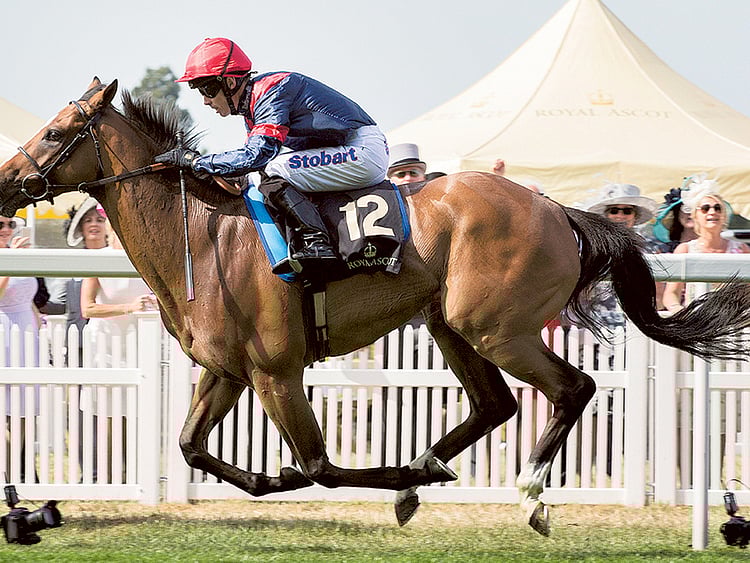 1.1627977-2783523026