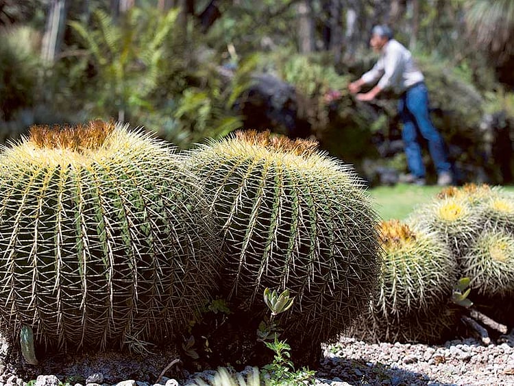 1.1628985-3730022110