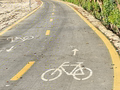  Virendra Saklani/Gulf News