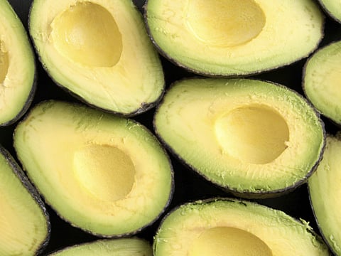 All about avocados