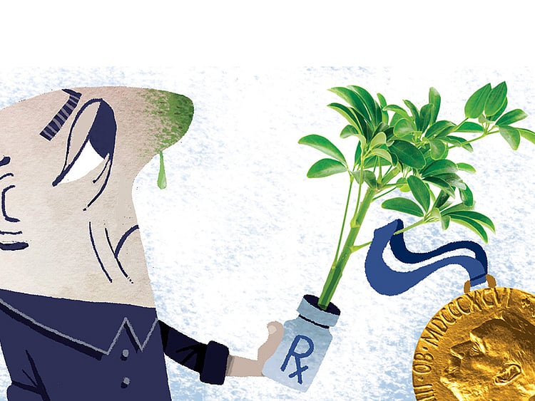 1.1616442-1129260153