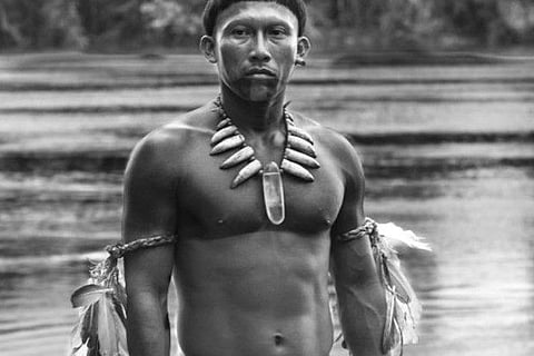‘Embrace of the Serpent’ snaps up Golden Peacock award at Indian film fest