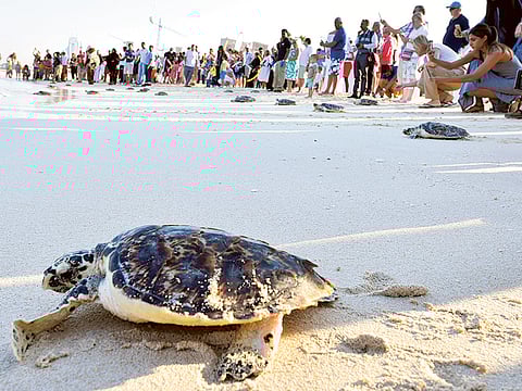 Zarina Fernandes/Gulf News