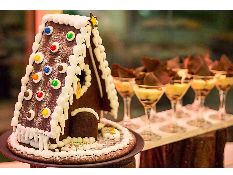 1.1636959-3558008078