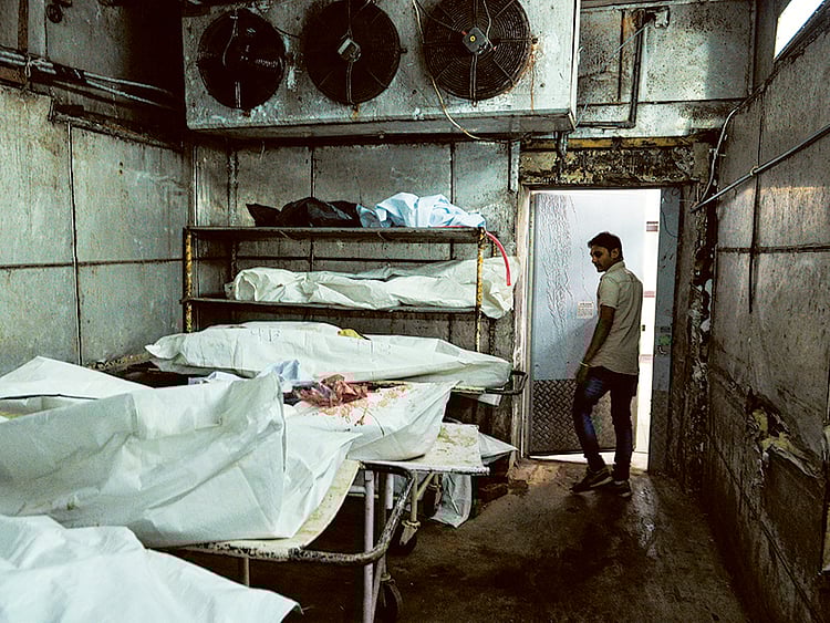 1.1637089-1332972546