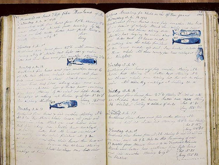 1.1638461-2544789998