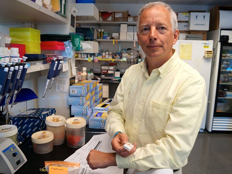 1.1638626-1305946095