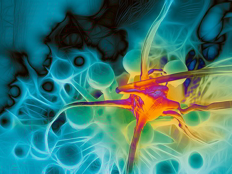 1.1639655-1897878437