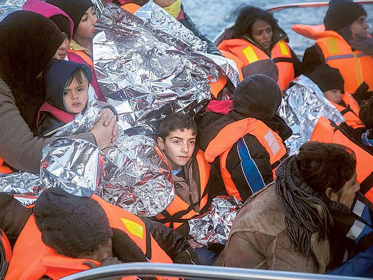 1.1639952-1511537091