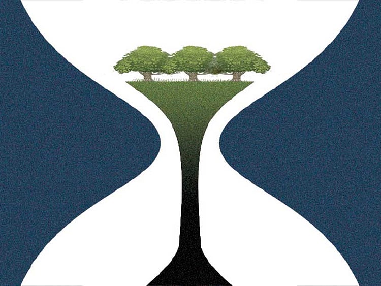 1.1630515-1439816093