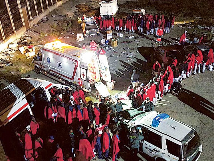 1.1643714-3701942099