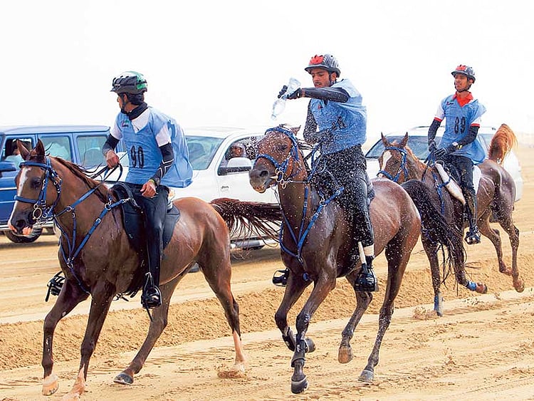 1.1643774-4048531438