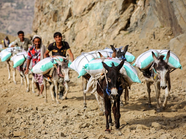 1.1644433-4223213835