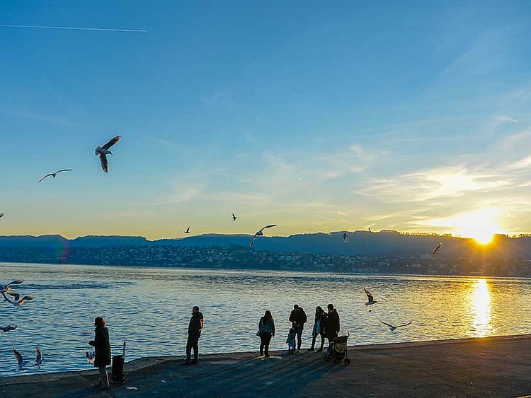 1.1645299-2500137470