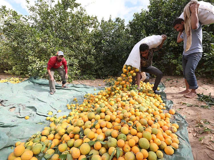 1.1645535-2310458192