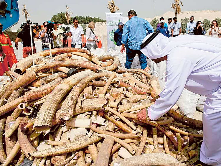 1.1645266-1825419154