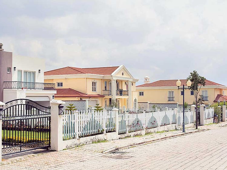 1.1630902-3557462811