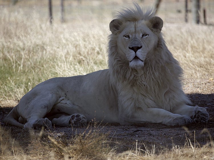 1.1645671-2958378719